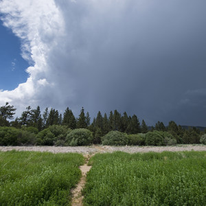 Meadows Edge Picnic Area