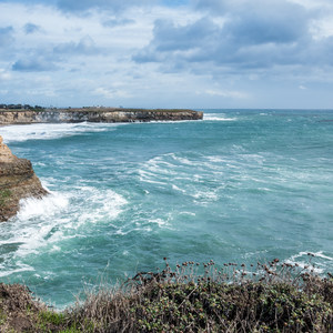 Old Landing Cove Hike