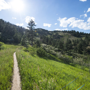 Stout, Sawmill + Nomad Trail Loop