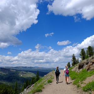 Mount Washburn via Dunraven Pass