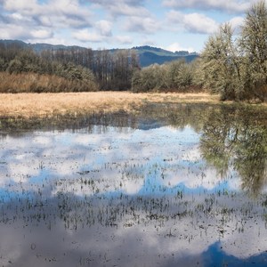 Wapato Access Greenway Trail + Virginia Lake