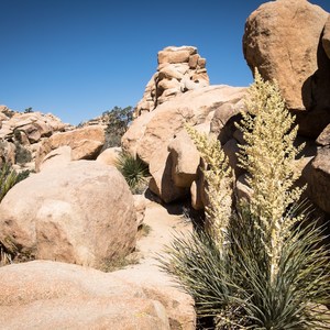 Hidden Valley Nature Trail
