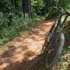 Jake and Bull Mountain Trail Network