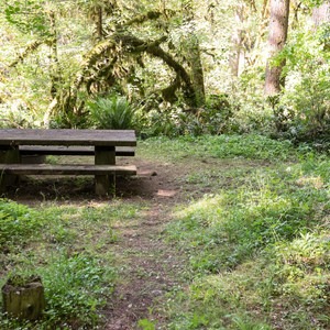 Fernview Group Campground