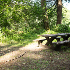 Sharps Creek Recreation Area Campground