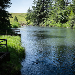 Riverside Park, Cottage Grove Lake