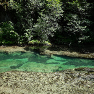 Salmon Creek Falls Swimming Holes