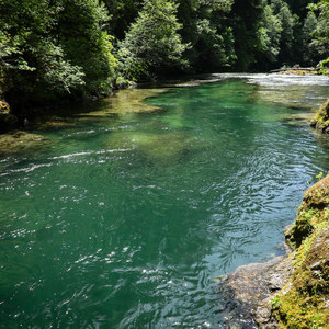 Salmon Creek Falls Campground