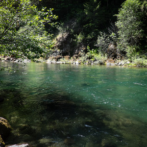 North Fork Middle Fork Willamette Swimming Hole 3.5