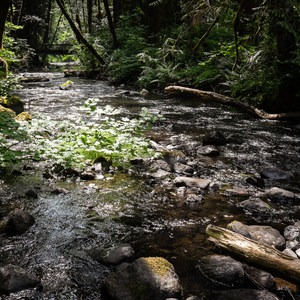 Shotgun Creek Recreation Area