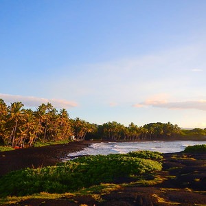 Punalu'u Black Sand Beach Campground