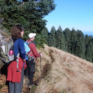 Marys Peak via East Ridge