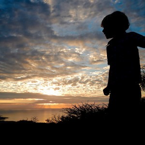 Koai'a Tree Sanctuary