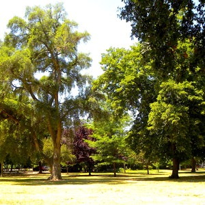 McKinley Park