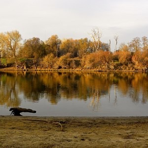 Sutter's Landing Regional Park