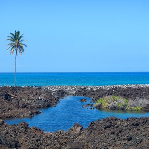 Akahu Kaimu Bay / Lone Palm Pond
