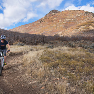 Dutch Hollow Trail System Mountain Biking