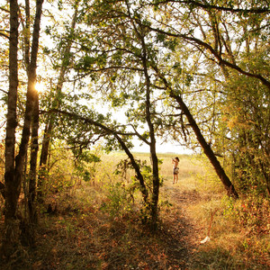 Fern Ridge Wildlife Area, West Coyote Unit