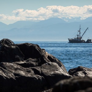 Coast Trail: Aylard Farm to Beechey Head