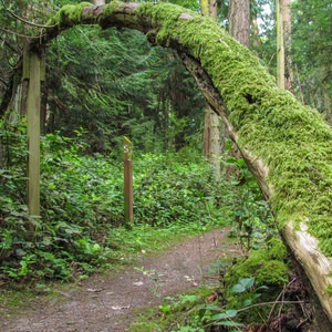 Al Emerson Nature Trail