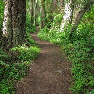 Cross Island Trail