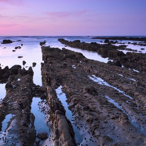 9 of the West Coast's Best Tide Pools