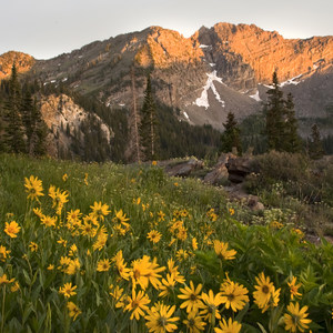 Catherines Pass Hike