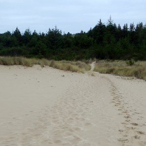 Carter Dunes