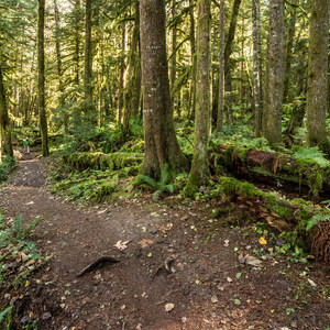 Four Lakes Trail Hike