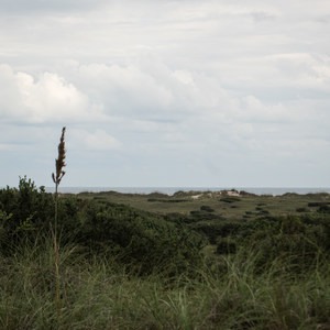 Frisco Beach Campground