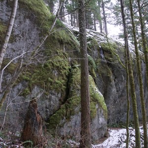 Boulder Gardens Loop