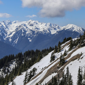 Hurricane Ridge