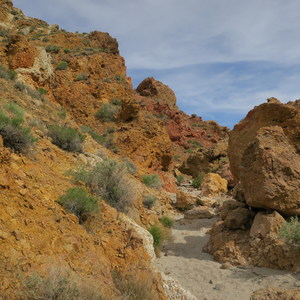 Owl Canyon