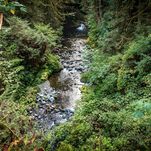 Goldstream Campground