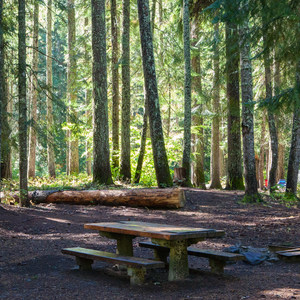 Grasshopper Meadows Campground