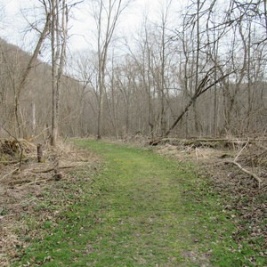 Beaver Creek Valley Trail