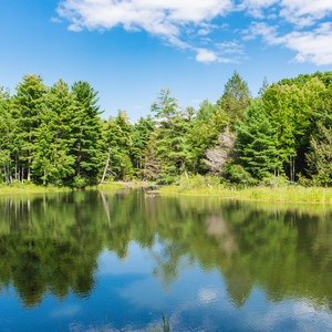 Great Bay National Wildlife Refuge