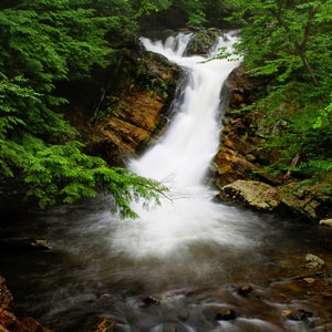 Millbrook Falls