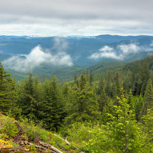 Patterson Mountain via Lawler Trailhead