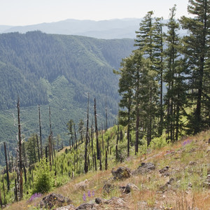 Salmon Creek + Heckletooth Loop