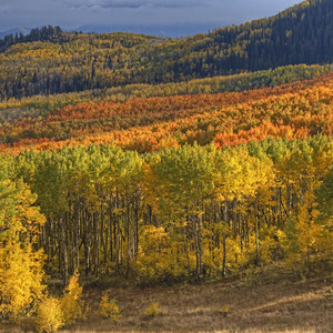 Scenic Highway 190 to Guardsman's Pass