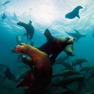 The Outdoor Enthusiast's Guide to Photography + Motion