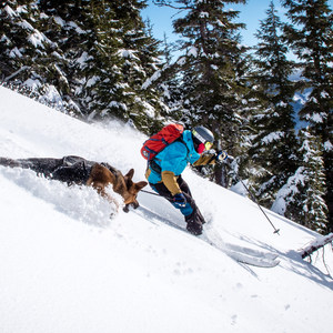 3 Things to Consider Before Bringing Your Dog Into the Backcountry