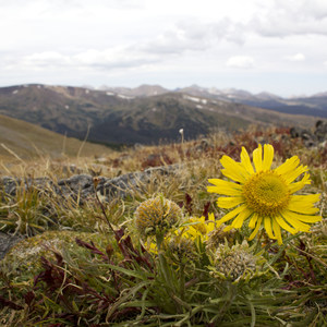 Chapin, Chiquita + Ypsilon (CCY Route)
