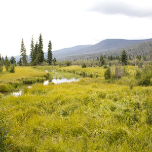 Timber Creek Campground