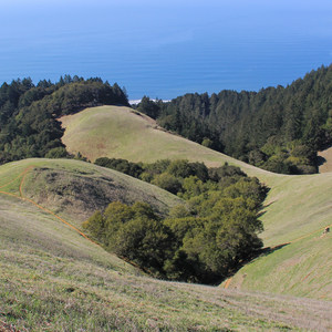 Coastal Trail, Pantoll to West Ridgecrest Boulevard