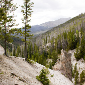 Little Yellowstone via the La Poudre Pass Trail