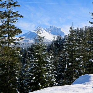 Mountain View Shelter Snowshoe