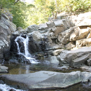 Scott's Run Nature Preserve