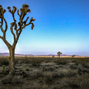 Alpine Butte Wildlife Sanctuary